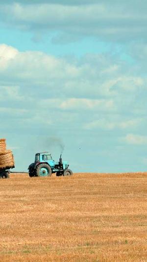 哈密瓜减肥可以吃吗截图1